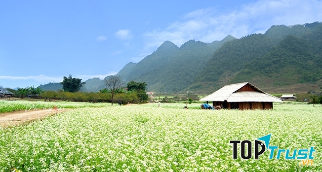 Mộc Châu - Sơn La