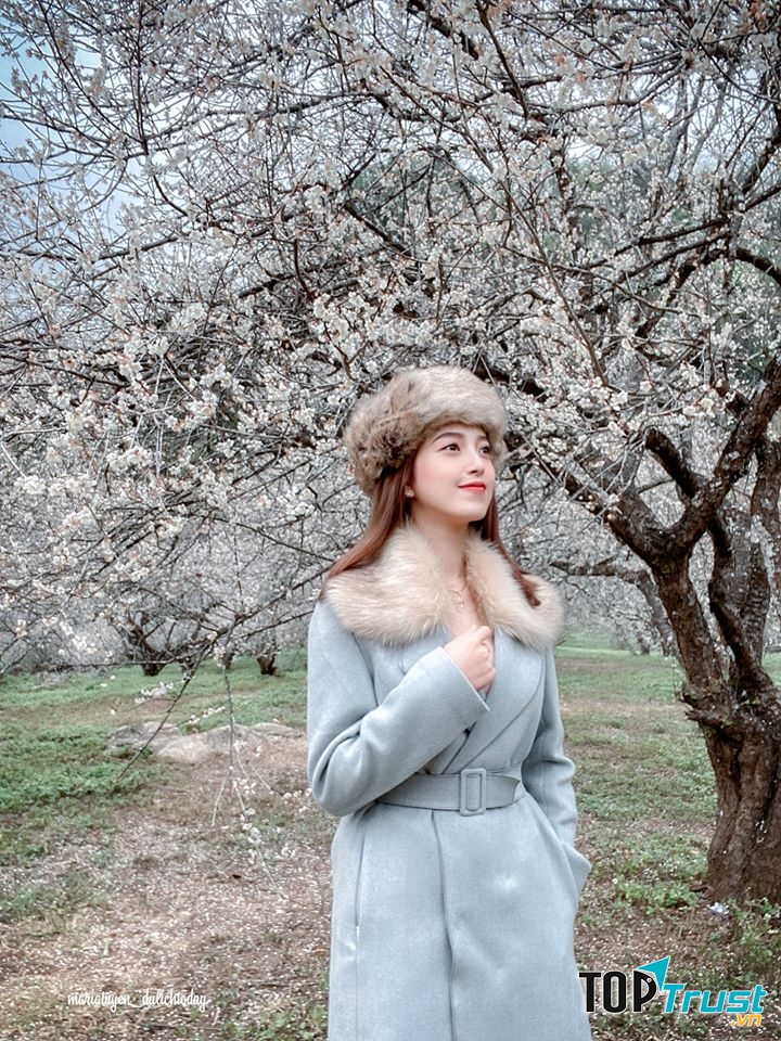 Mộc Châu - Thảo nguyên hoa