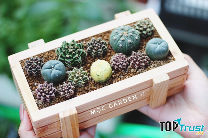 Mộc Garden Sài Gòn