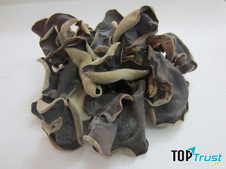 Chỉ ăn mộc nhĩ khô