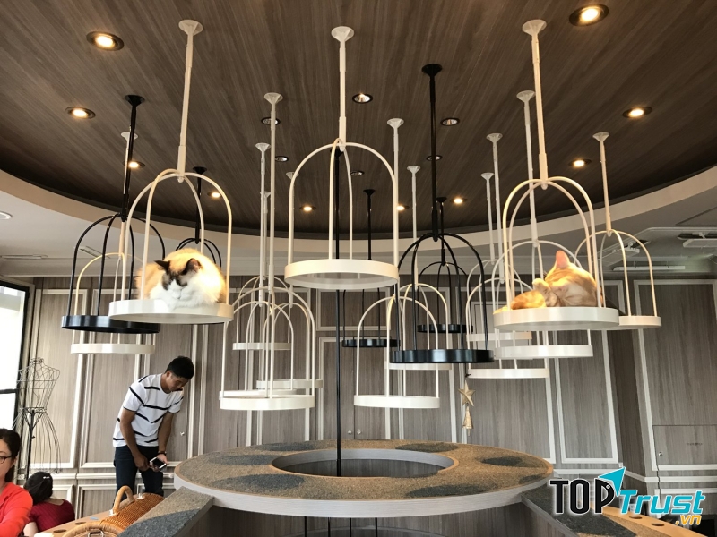 Mocha Shibuya, Shibuya