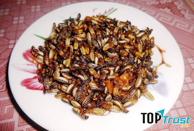 Mối đất chiên vàng, giòn, thơ, béo ngậy