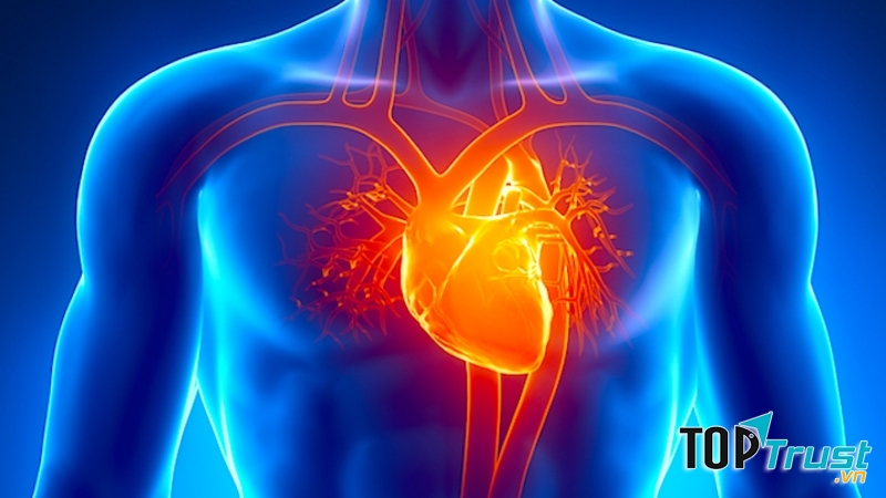 Trái tim của con người luôn mạnh mẽ hơn những gì chúng ta nghĩ.