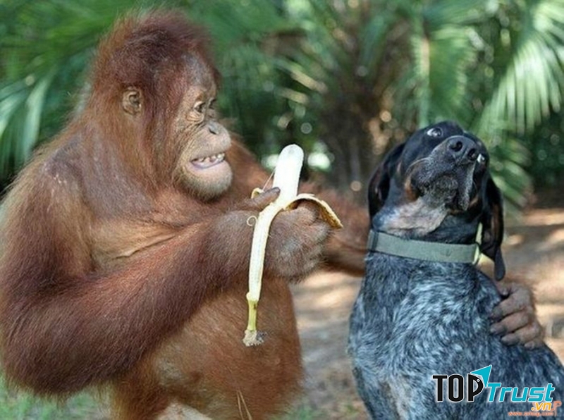 Ảnh minh họa (Nguồn Internet)