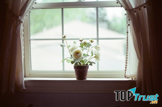 Ảnh minh họa ( nguồn: Internet)