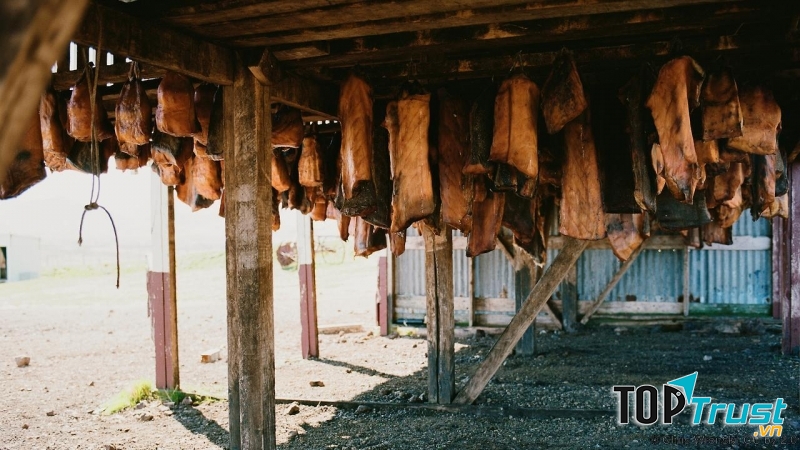 Hákarl (cá mập lên men) – Iceland