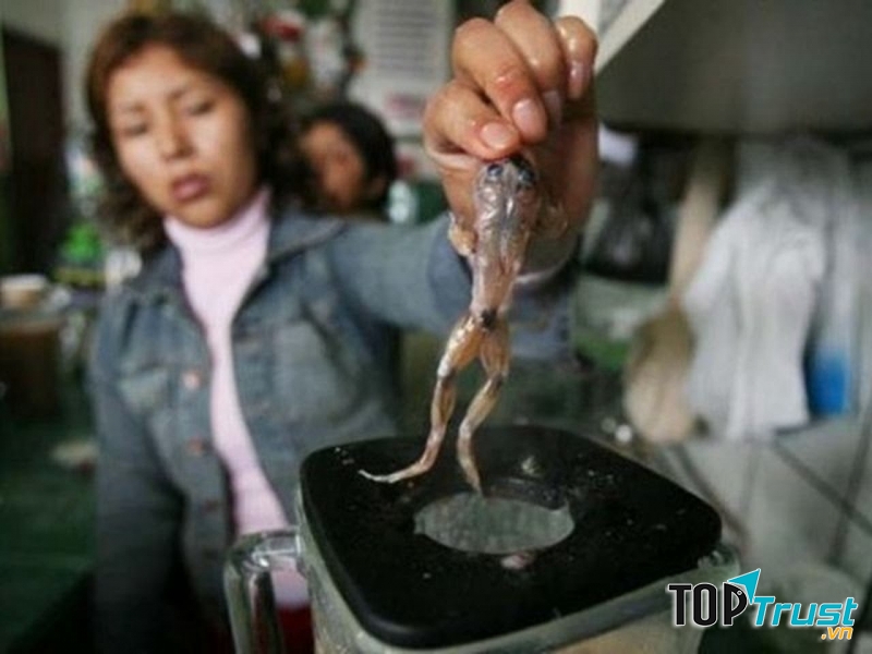 Món sinh tố ếch tươi sống – Peru