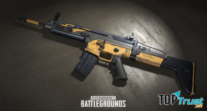 Scar-L
