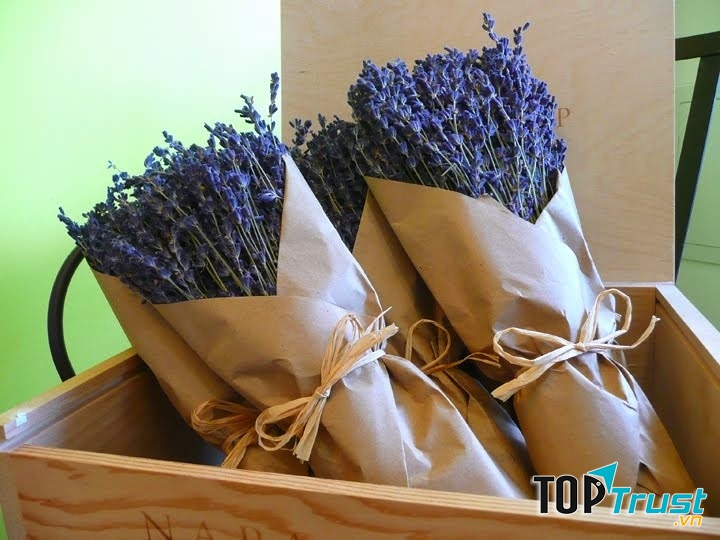 Hoa lavender khô - món quà Valentine tuyệt vời nhất cho những ai yêu xa