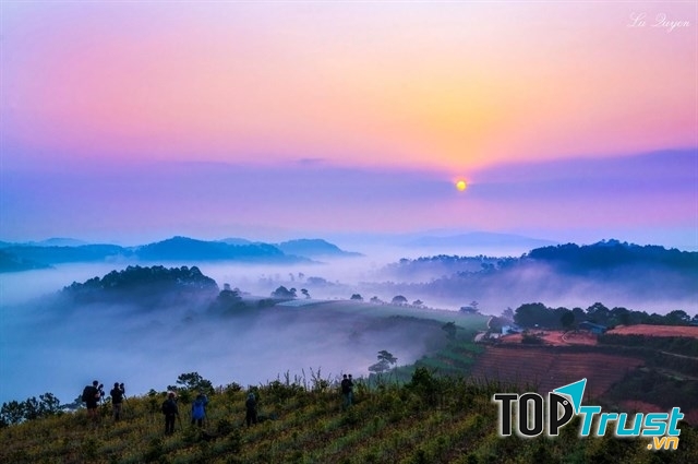 Đà Lạt dịu dàng, huyền ảo trong làn sương sớm
