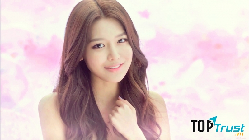 Một số cô gái đã làm quen với showbiz trước khi đến với SNSD