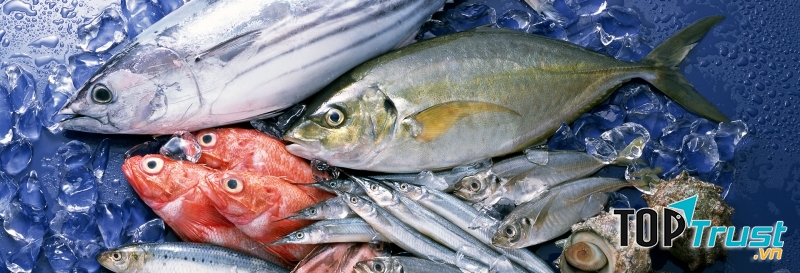 Cá biển có nhiều canxi nhưng cũng có lượng thủy ngân không nhỏ, hạn chế sử dụng trong giai đoạn đầu mang thai