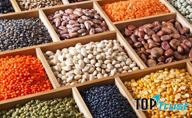 Người bị bệnh gout không nên ăn các loại hạt họ đậu giàu đạm