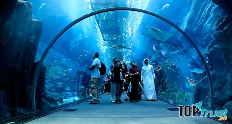 Một trong những hồ cá lớn nhất thế giới