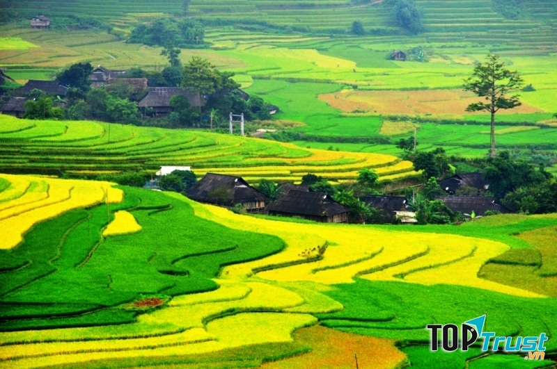Tour Sapa