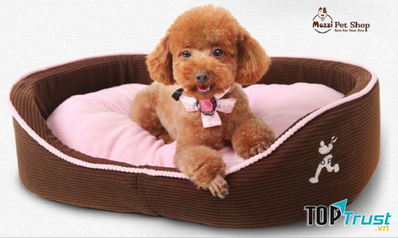 Giường, nệm cho thú