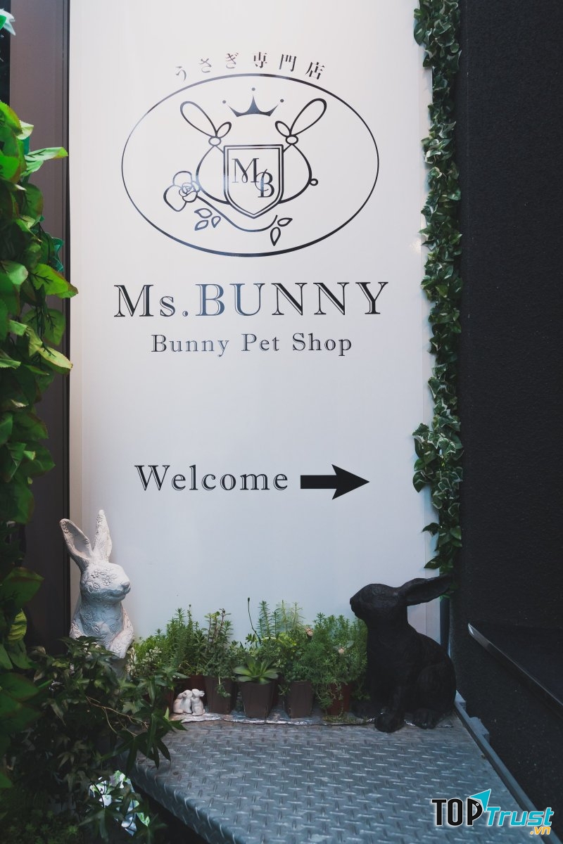 Ms Bunny, Roppongi
