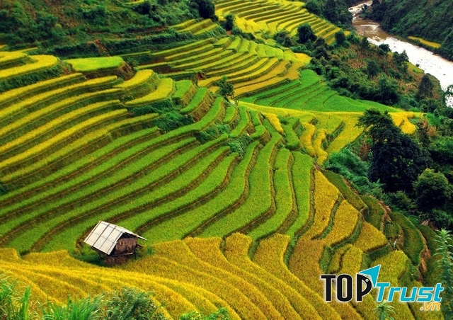 Khung cảnh ngày mới lên trên những thửa ruộng bậc thang