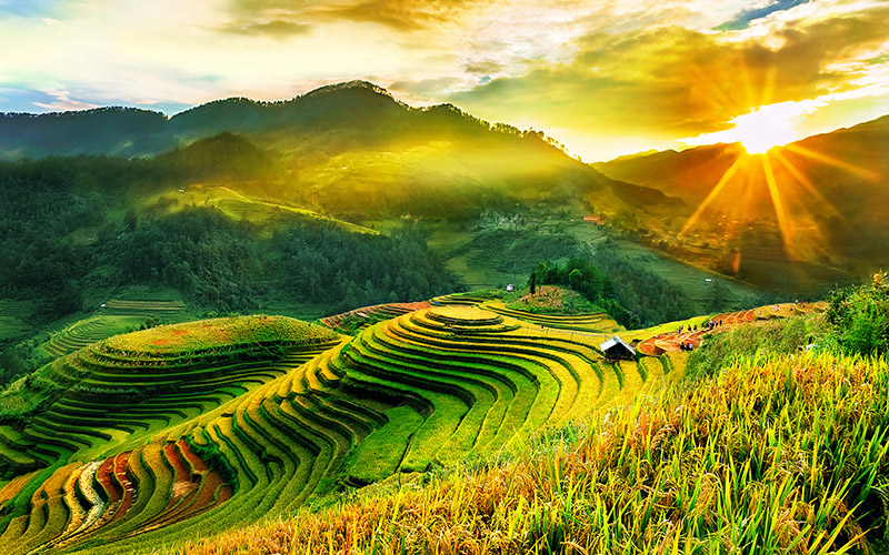 Những thửa ruộng bậc thang độc đáo ở Mù Cang Chải, Yên Bái chính thức được Bộ Văn hóa - Thể thao và Du lịch công nhận là danh thắng quốc gia