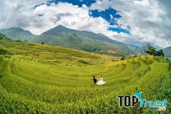 Chụp ảnh cưới tại đồi chè ở Mù Cang Chải