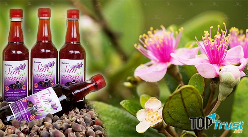 rượu sim rừng