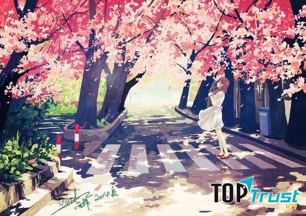 Mùa hạ chung tình.