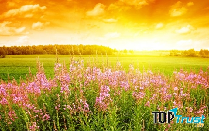 Nắng mùa hè mang một điểm rất đặc biệt.