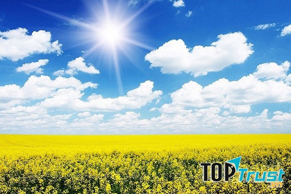 bầu trời trong xanh mùa hè với những tia nắng vàng ấm áp