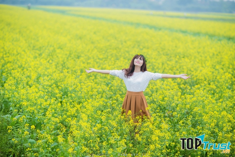 Mùa hoa cải vàng