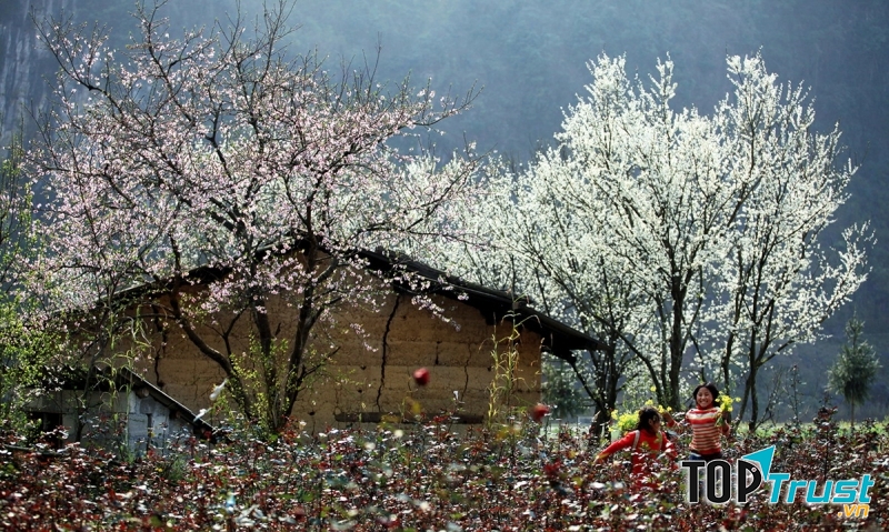 Khung cảnh mùa xuân nên thơ