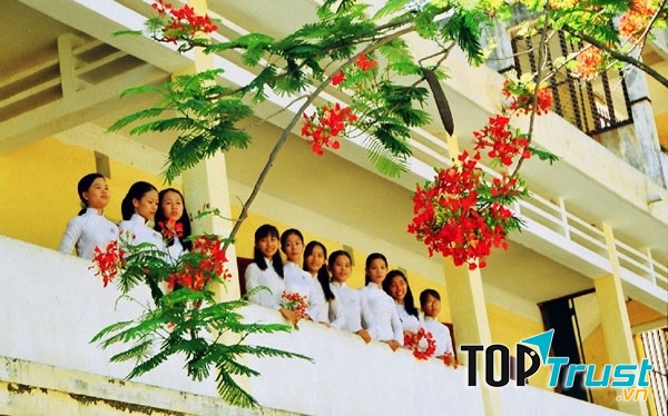 Lũ học trò chúng tôi ngắm phượng đẹp nhưng lại không muốn xa trường xa lớp một chút nào.