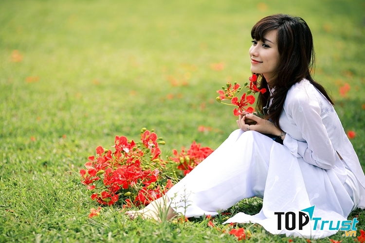 Mỗi khi nhìn thấy phượng lòng tôi lại nao nao khó tả.