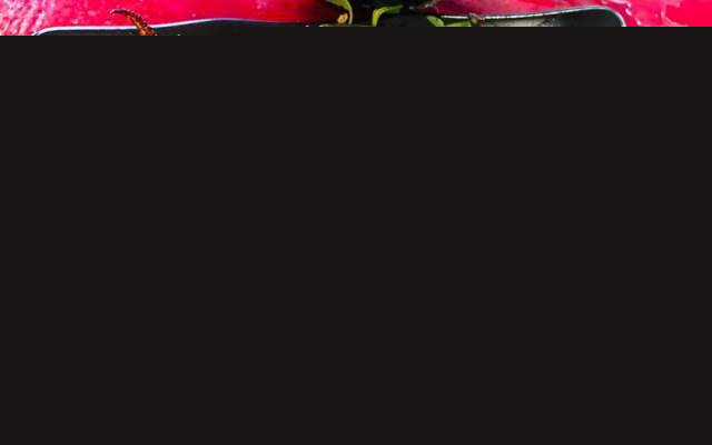 Liên Lai - Mực khổng lồ Hồng Kong cực ngon