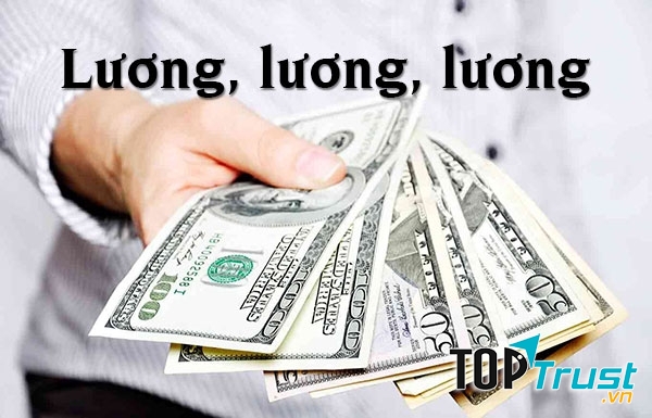 Mức lương không cao so với ngành khác