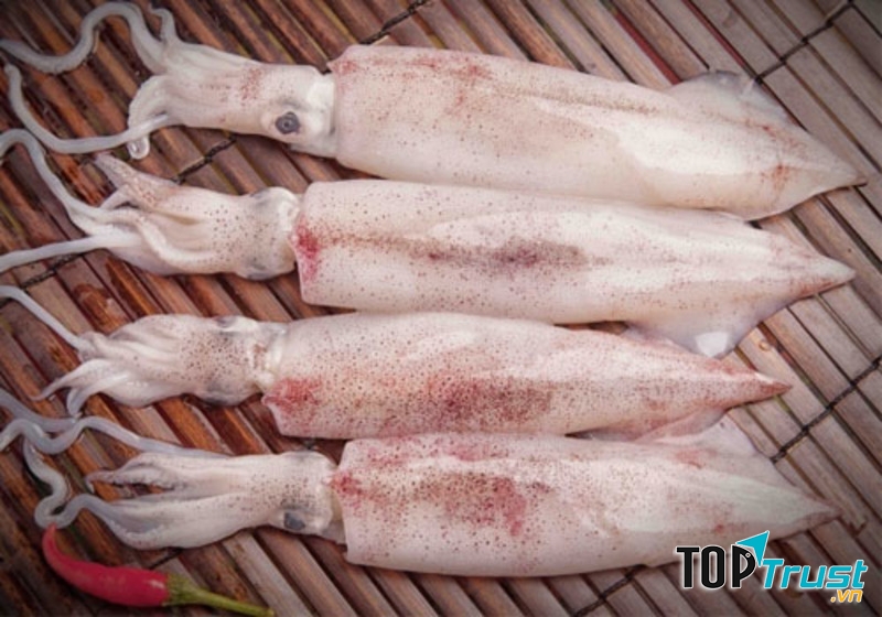 Mực ống Cô Tô