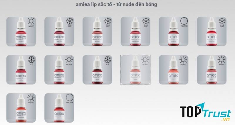 Amiea hiện là một thương hiệu đứng đầu trên thế giới về các sản phẩm mực phun xăm và máy phun xăm đến từ Đức