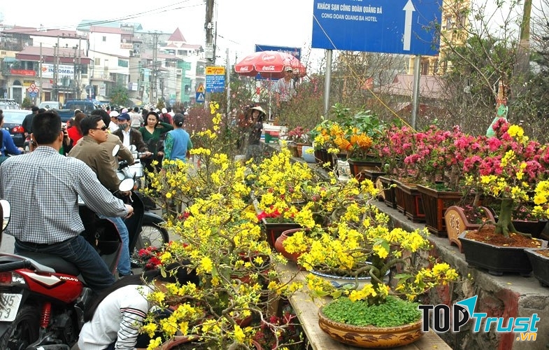 Hoa cỏ tươi thắm những ngày Tết