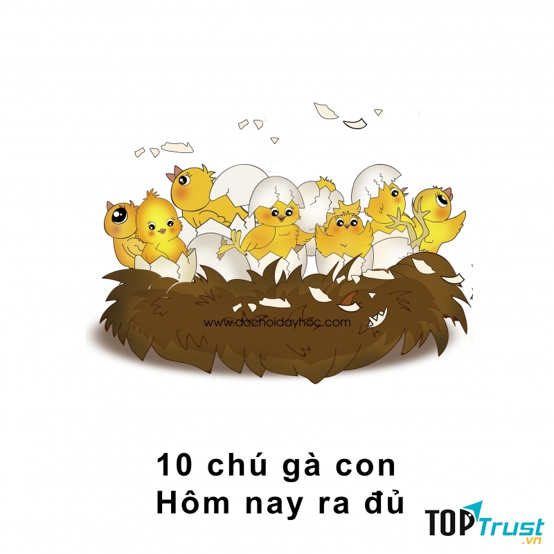 Mười chú gà con, hôm nay ra đủ