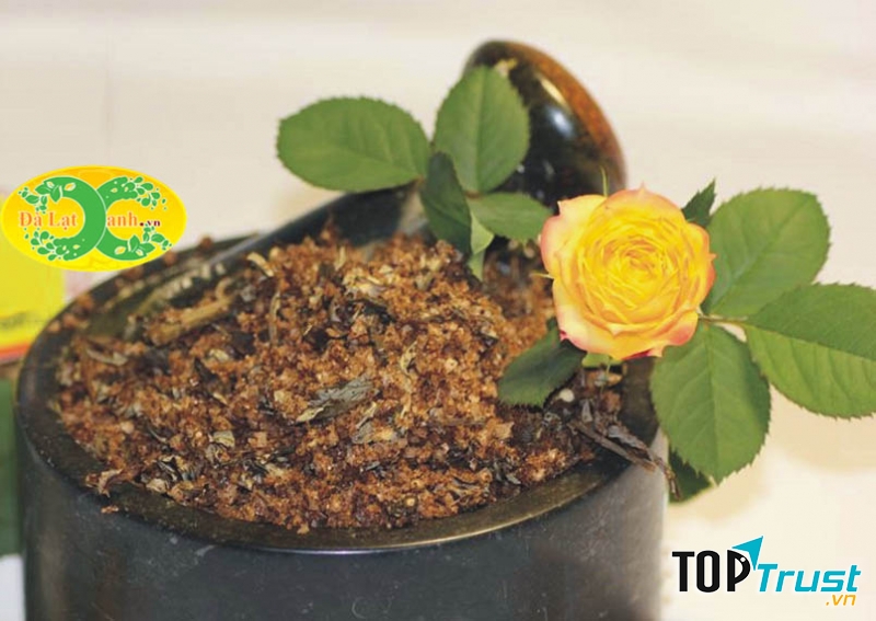 Muối thảo dược Đà Lạt Xanh