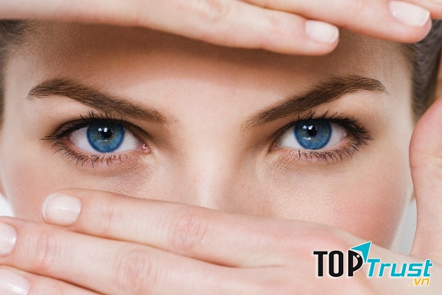 Ảnh minh họa (Nguồn Internet)