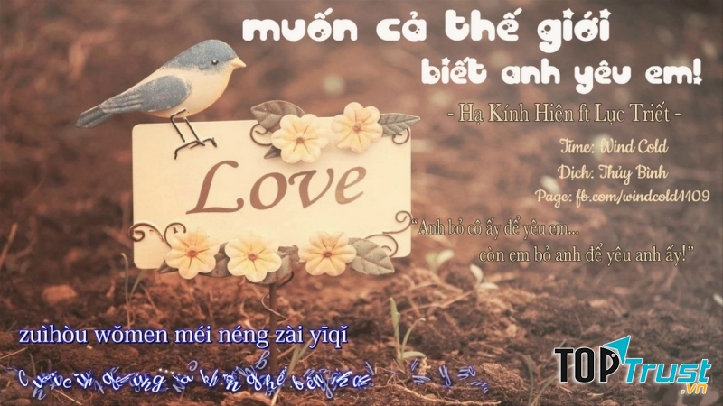 Ảnh minh họa