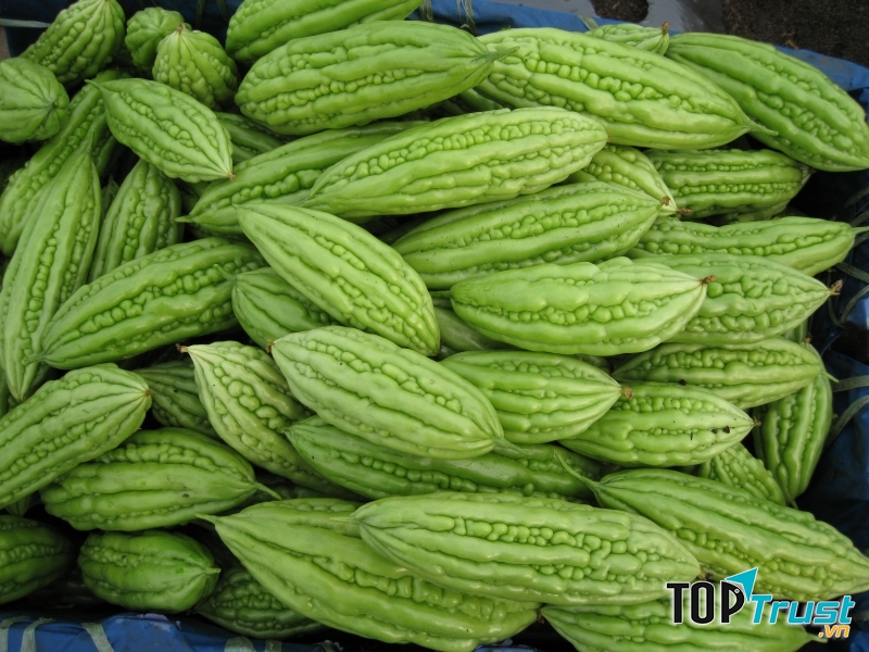 Phụ nữ mang thai ăn mướp đắng có thể gây hạ đường huyết