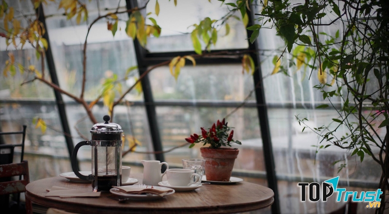 Museum Cafe