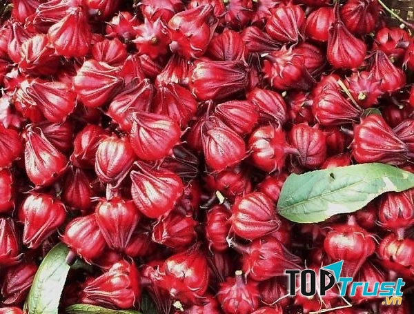 Mứt hoa hồng ở đây được làm từ trái hồng hoa chứ không phải nụ hoa hồng