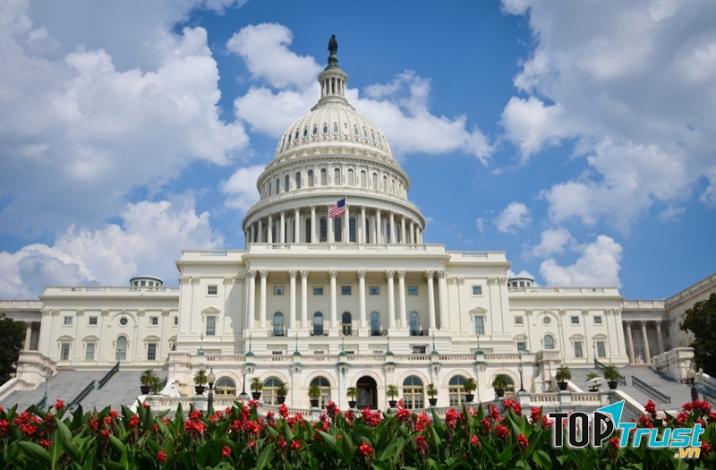 Washington D.C