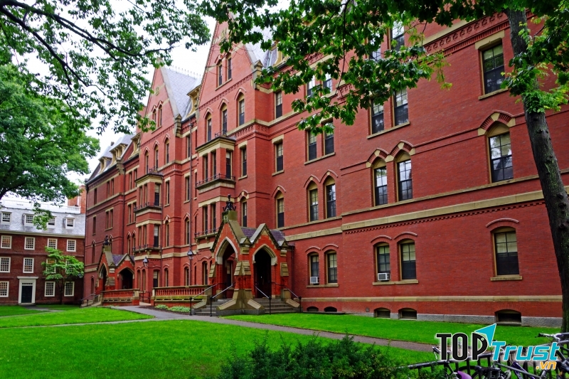 Đại học Harvard, Mỹ