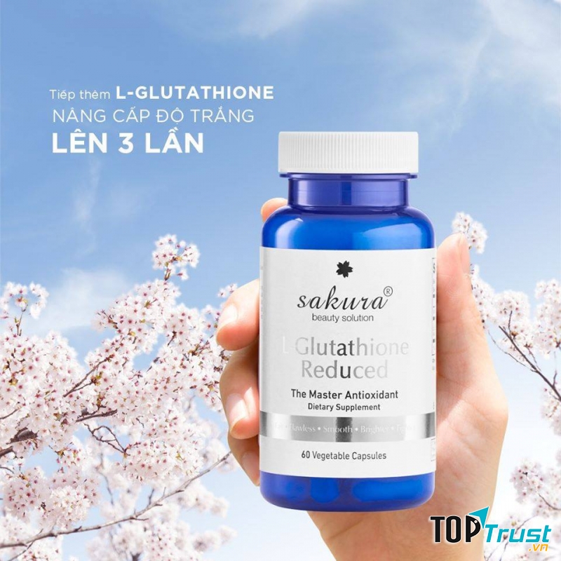 Mỹ Phẩm Sakura Hà Nội - Miền Bắc