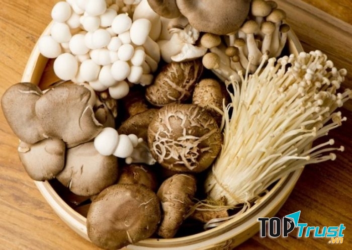 Nghề trồng nấm được coi như một nghề mang lại hiệu quả kinh tế cao ở nước ta.