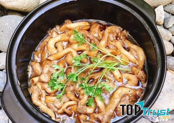 Ảnh minh họa - nguồn internet