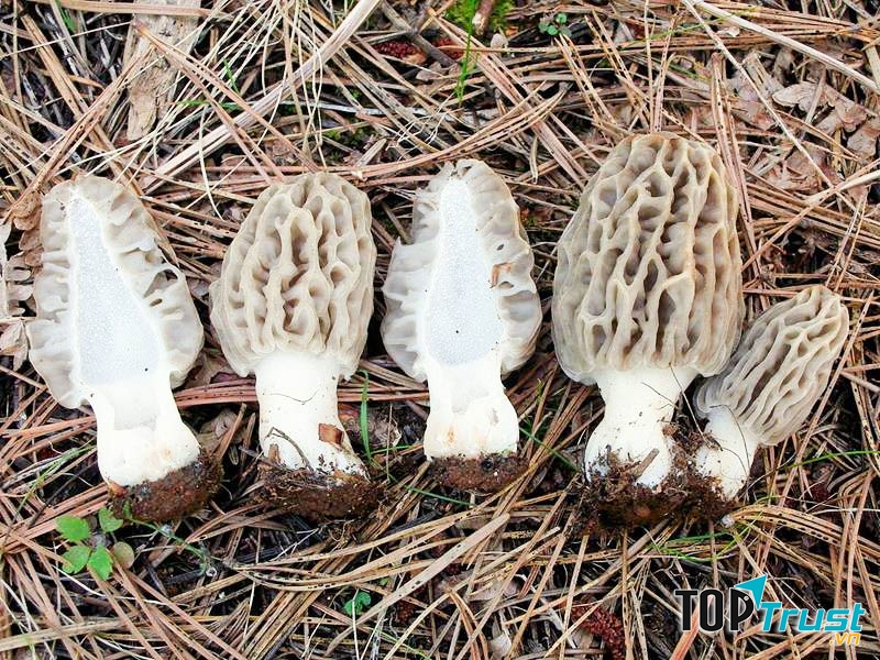 Ảnh minh họa - nguồn internet